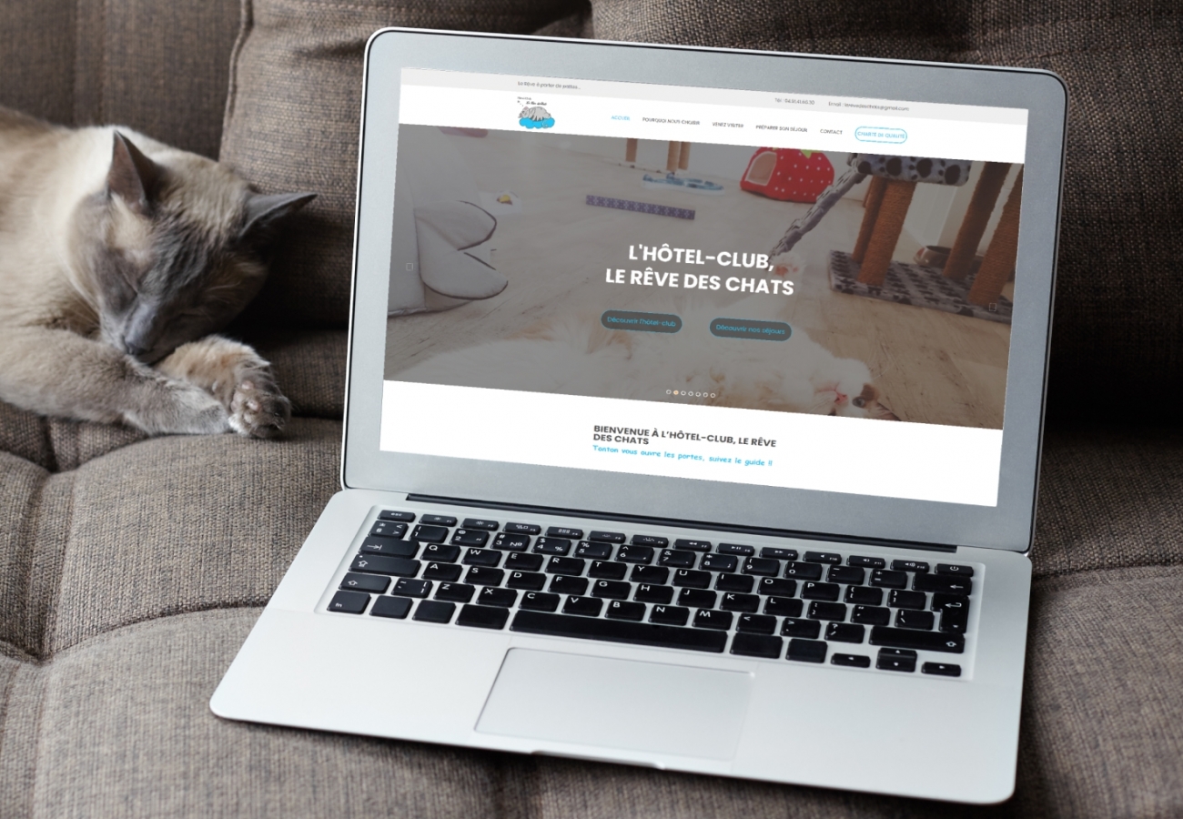 Création site internet Marseille pour Hôtel Le Rêve des Chats